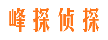 马龙侦探公司